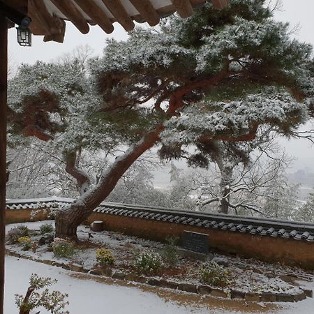 안동 옥연정사 B&B 외부 사진