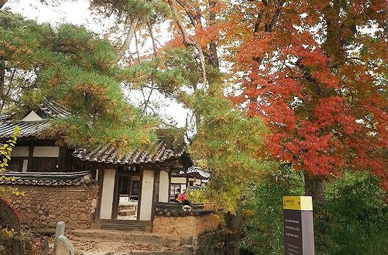 안동 옥연정사 B&B 외부 사진