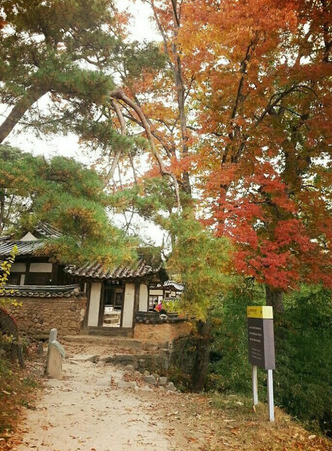 안동 옥연정사 B&B 외부 사진