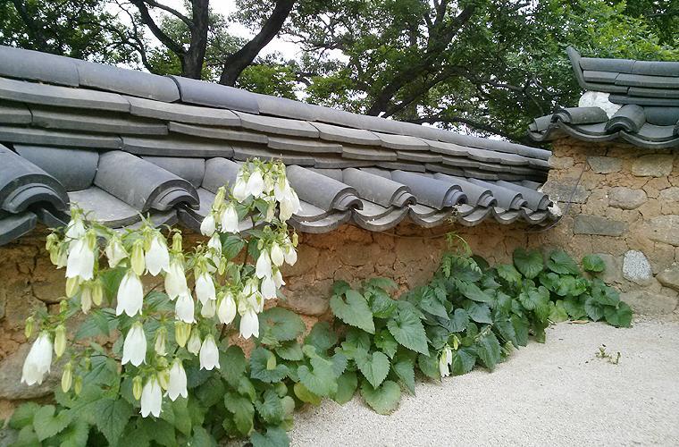 안동 옥연정사 B&B 외부 사진