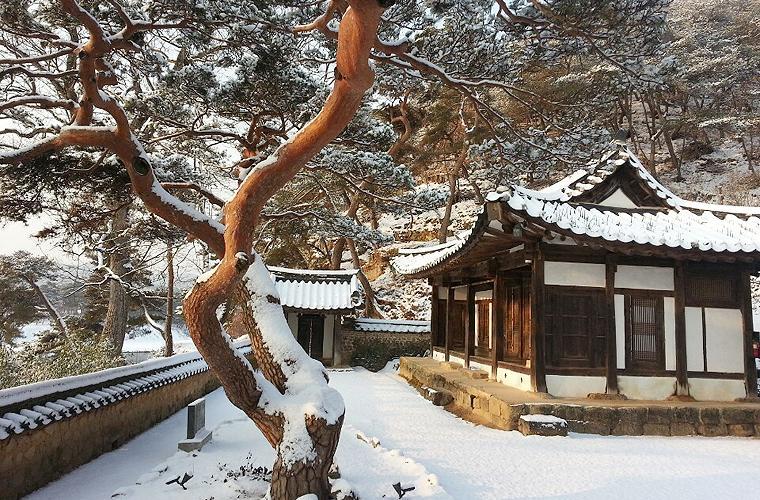 안동 옥연정사 B&B 외부 사진