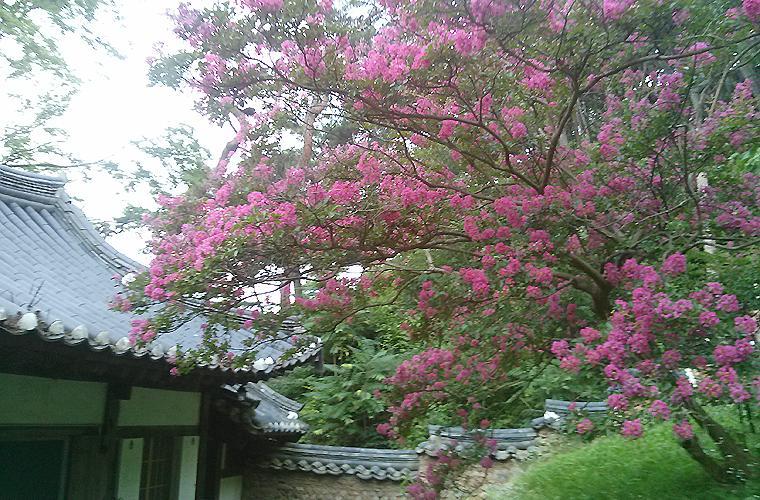 안동 옥연정사 B&B 외부 사진