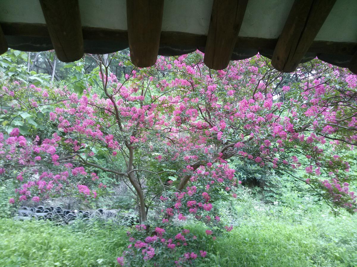 안동 옥연정사 B&B 외부 사진