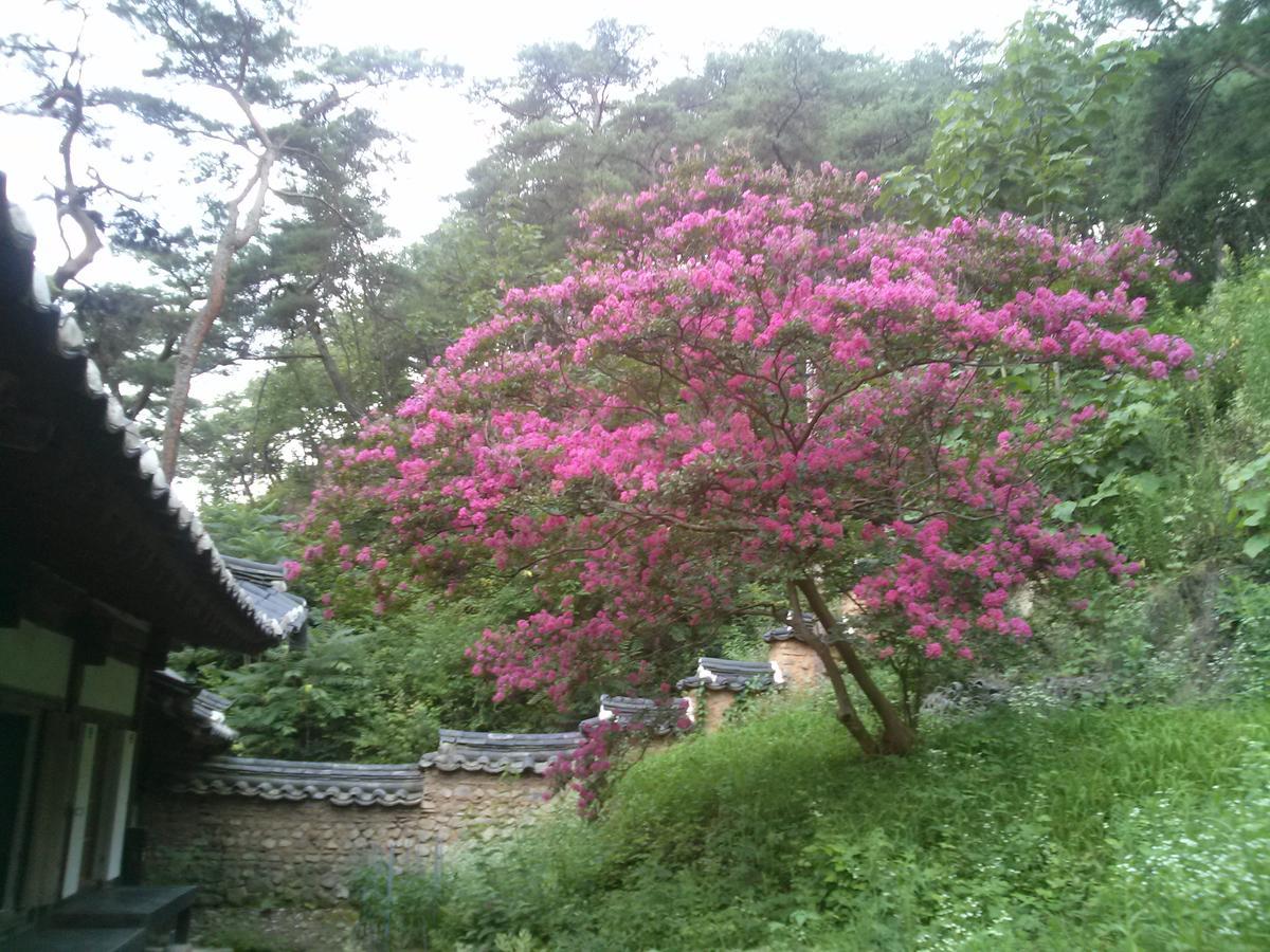 안동 옥연정사 B&B 외부 사진