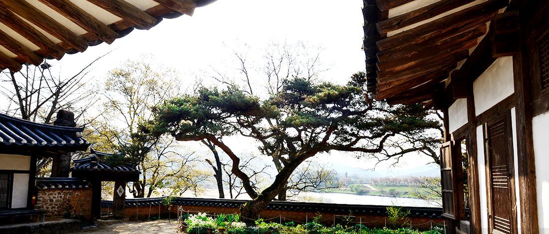 안동 옥연정사 B&B 외부 사진