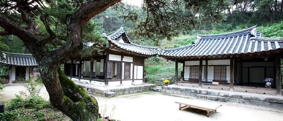 안동 옥연정사 B&B 외부 사진
