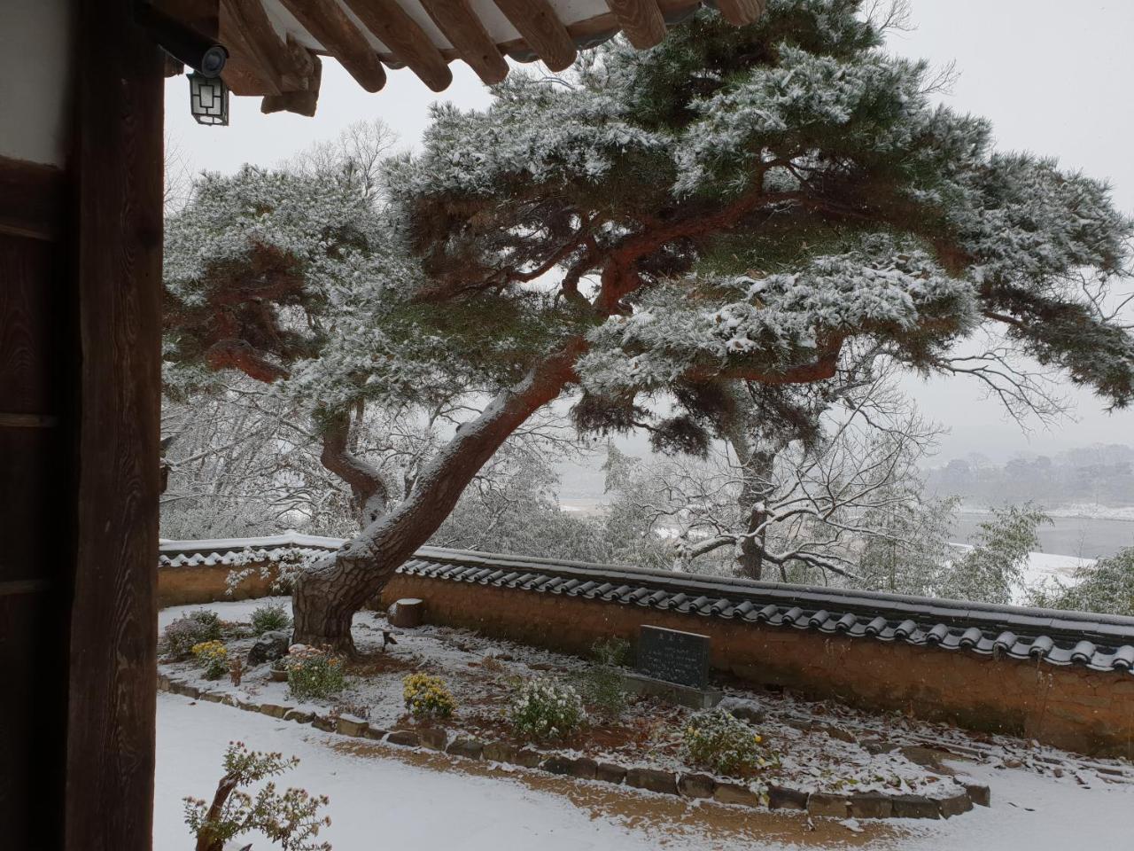 안동 옥연정사 B&B 외부 사진