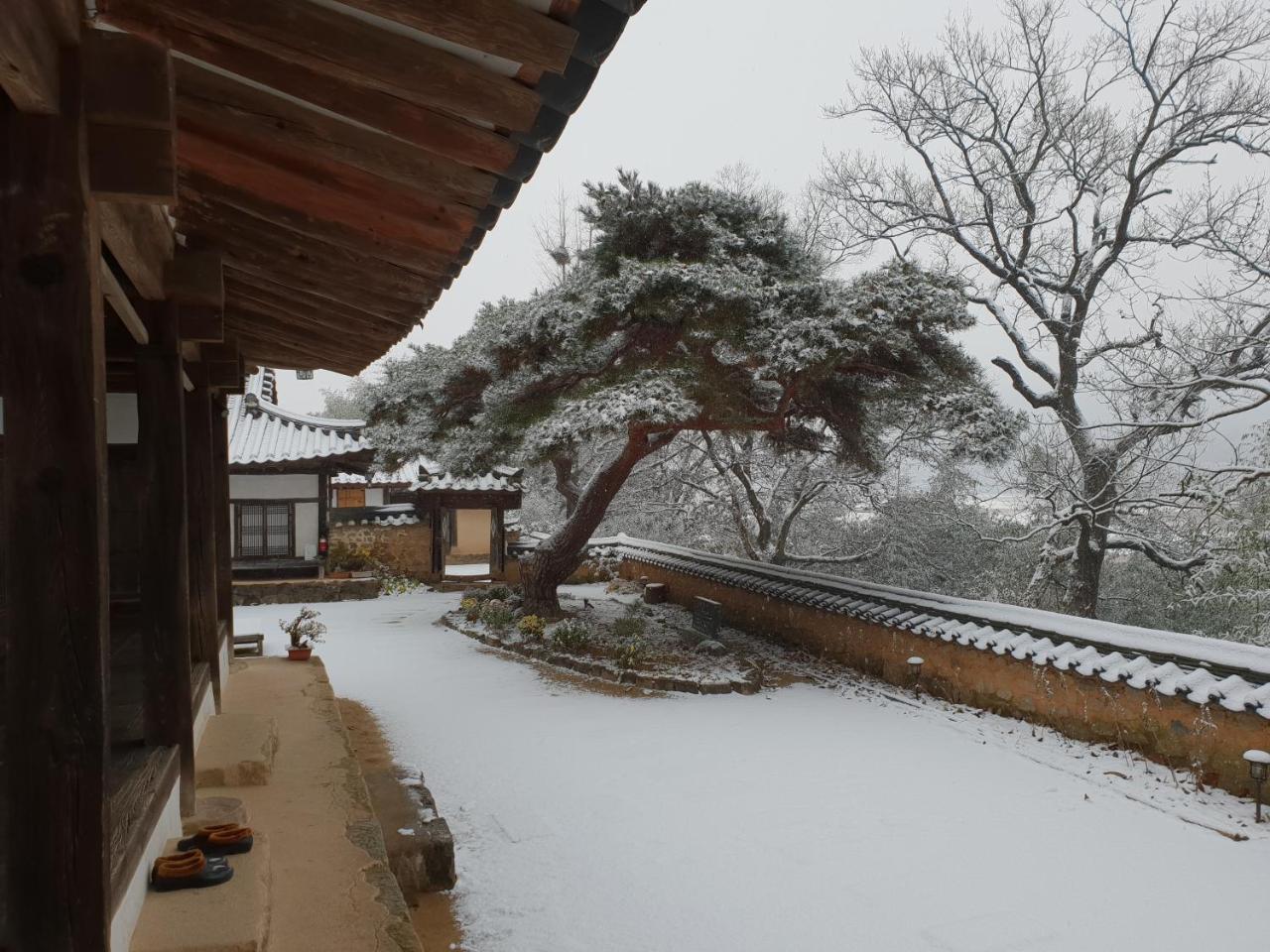 안동 옥연정사 B&B 외부 사진